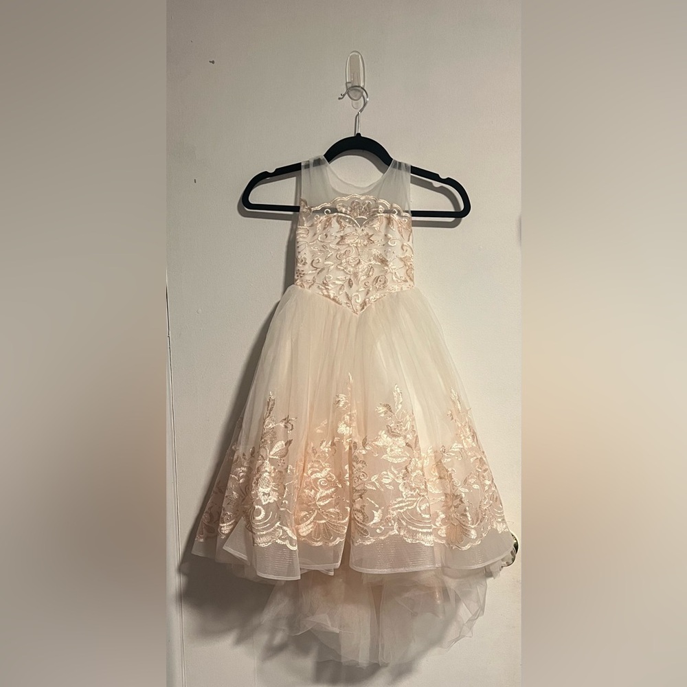 Elegant Cream and Peach Gold Floral Gown - Picture 2 of 12